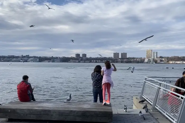 A group of kids at a pier on the Hudson River while birds fly.